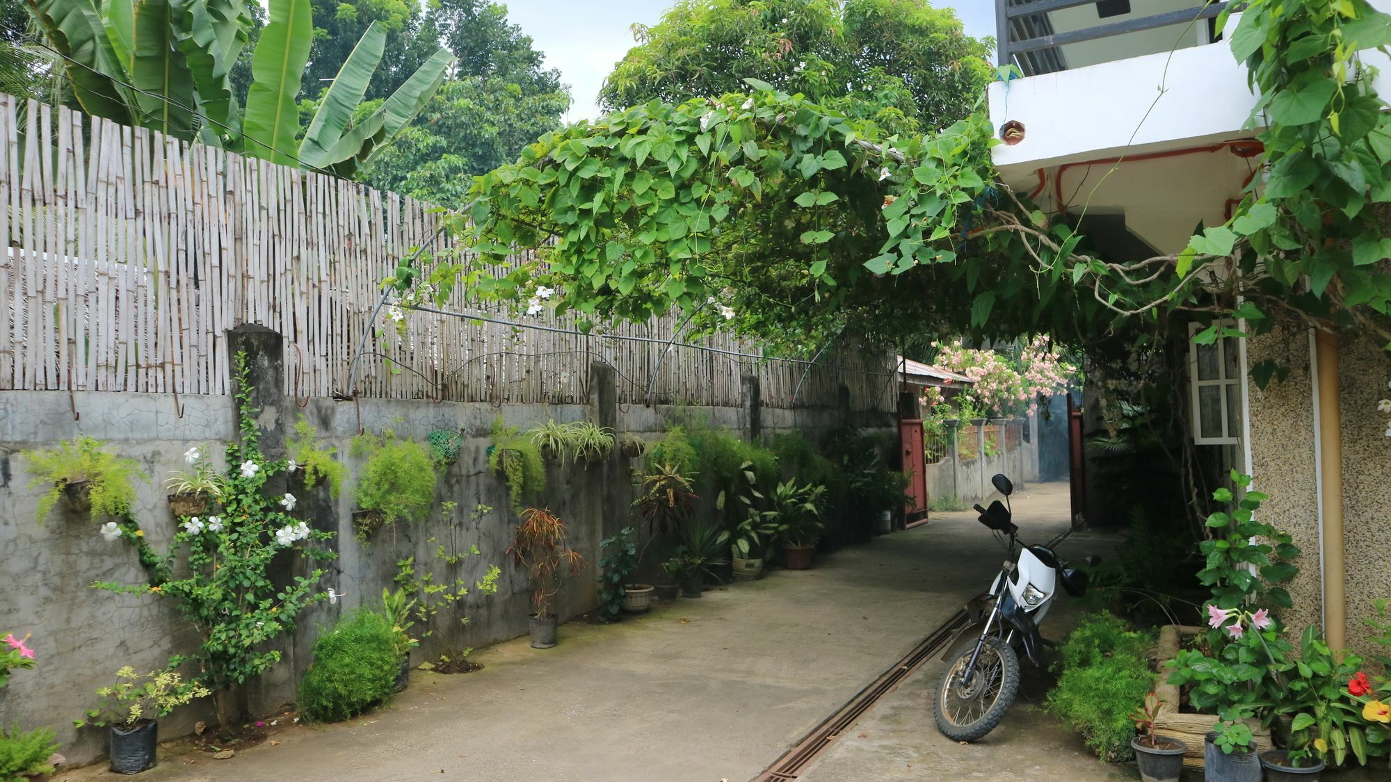 Charm Guest House Puerto Princesa Екстериор снимка